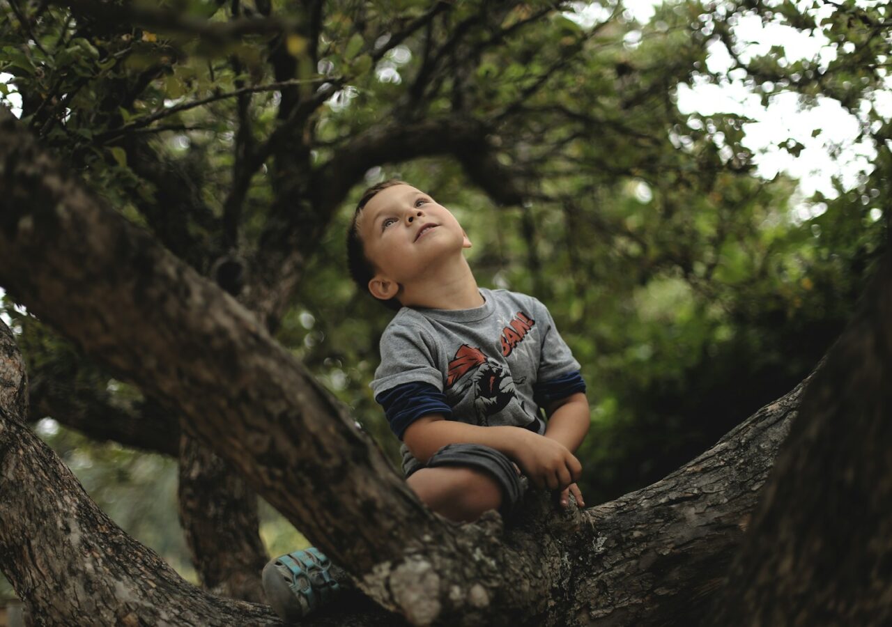 boy climb on tree